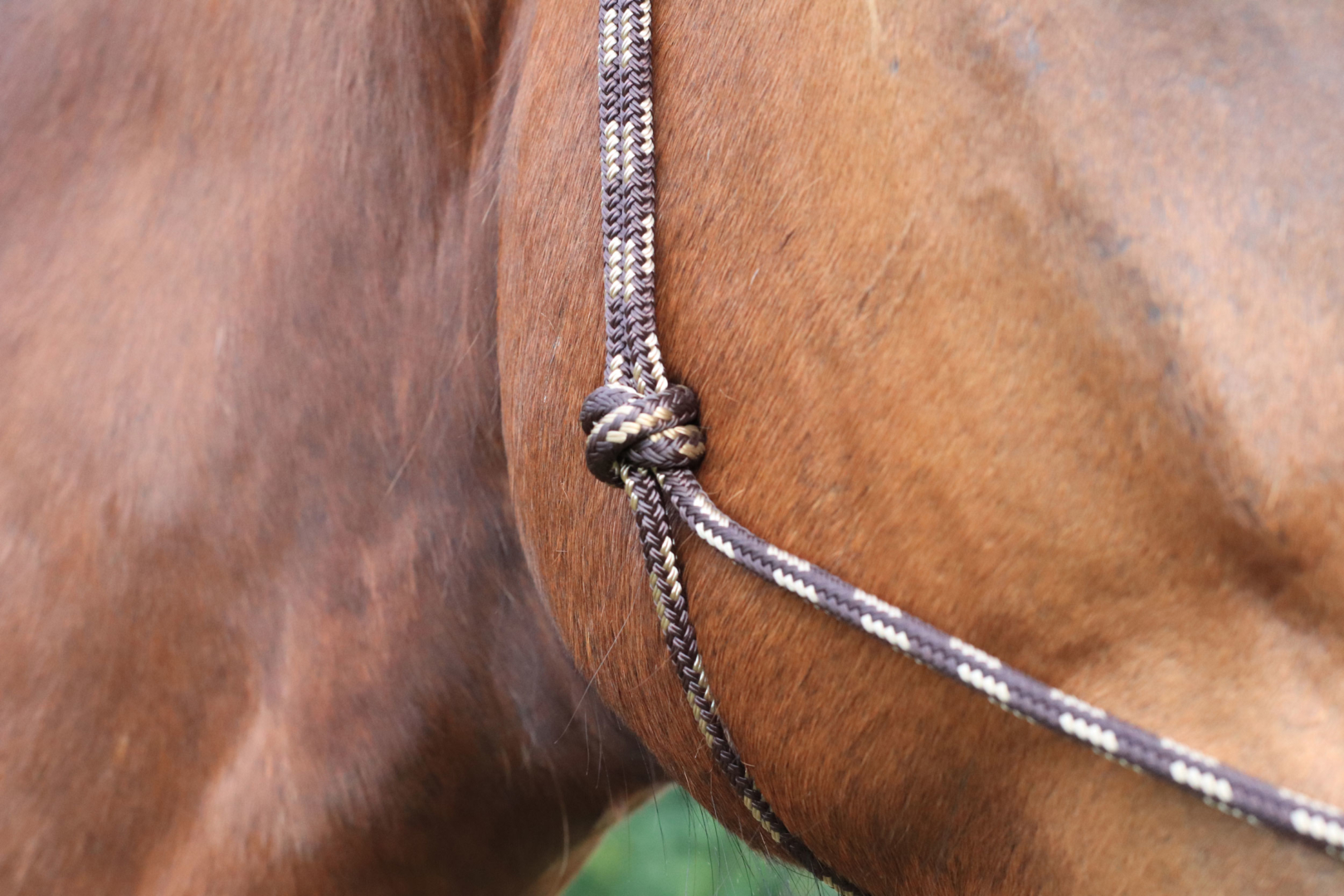 Licol En Corde Naturelle Pour Cheval Équitation Parelli - Taille Unique F/C/P Bleu Roi - Confort & Contrôle